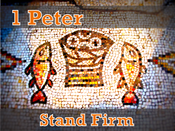 Stand Firm: 1 Peter