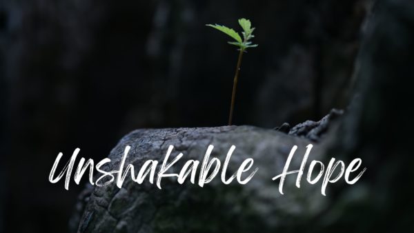 Hope For The Prodigal Image